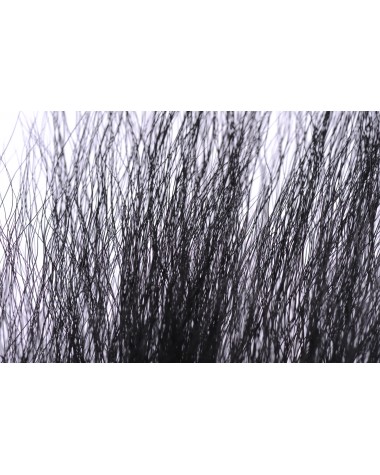 BUCKTAIL BLACK